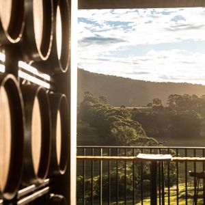 Hunter Valley Winery Experience | 9 November