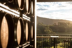 Hunter Valley Winery Experience (9 November)
