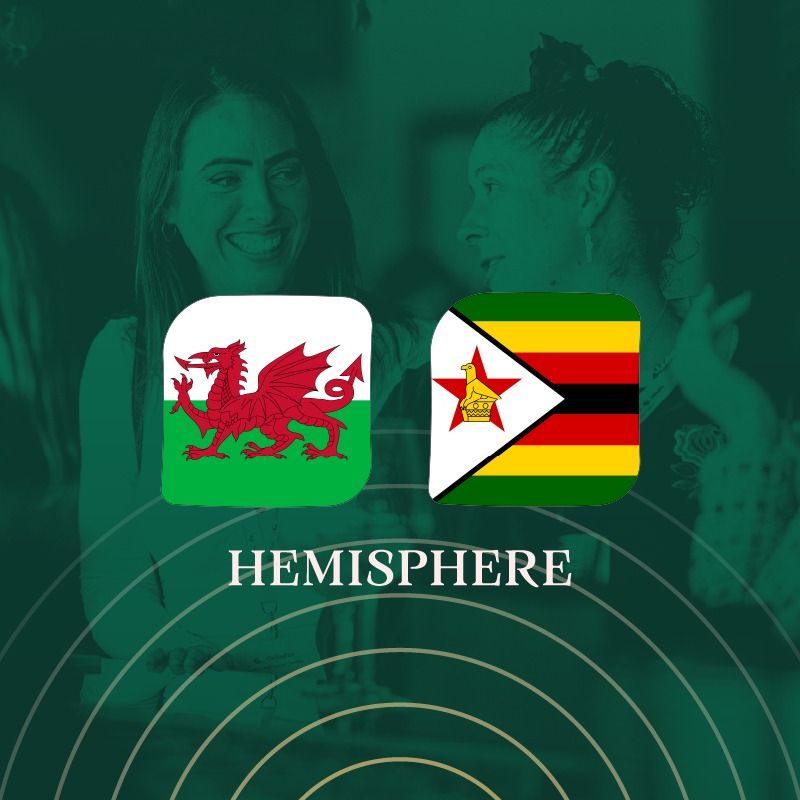Wales v Zimbabwe 